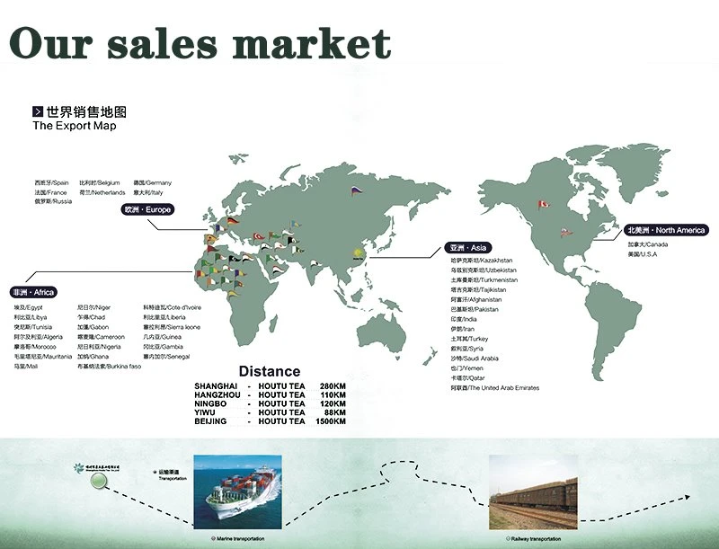 HOUTU TEA export markets including Uzbekistan and transport illustration